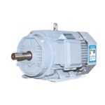 YE5 Series Three-Phase Asynchronous Motor