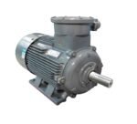 YBX3 Series High Efficiency Explosion-proof (ExdIICT4) Three Phase Induction Motors