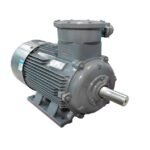 YBX3 Series High Efficiency Explosion-proof (ExdIICT4) Three Phase Induction Motors