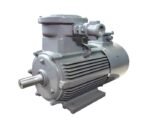 YBBP Series Flameproof Variable  frequency Adjustable speed Induction Motor