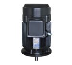 JM/JP Close Coupled Pump electric motor