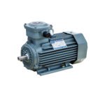 YFB Series For Dust Explosion-proof Three-phase Induction Motor