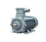 YBX4 Series Explosion-proof Induction Motors