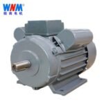 YL series dual-value capacitor asynchronous motor