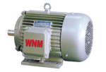 YH2 Series High Slip Three Phase Induction Motor