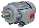 YE2 Series High Efficiency Three Phase Induction Motor