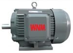 YP2 Series Wide Frequency Three Phase Induction Motor