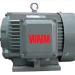 YP2 Series Wide Frequency Three Phase Induction Motor